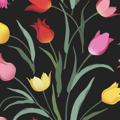 Разноцветные тюльпаны на тёмном фоне