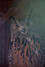 Праздник в стиле Гжель