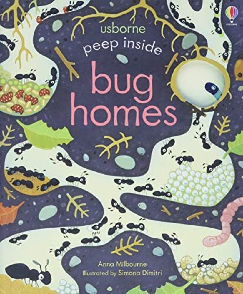 Peep Inside Bug Homes  (board bk)