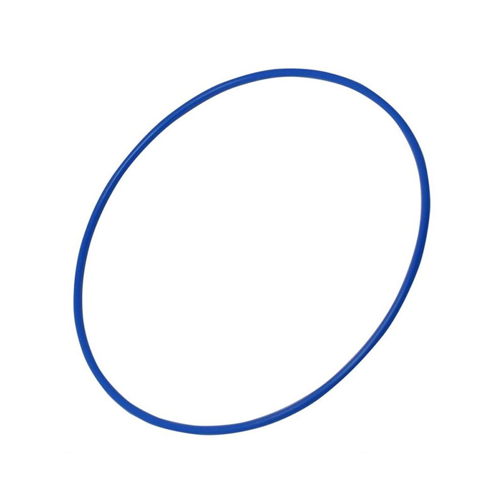 Уплотнительное кольцо 124x3