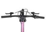 Maxiscoo 5BIKE 20'' L200 (2025)