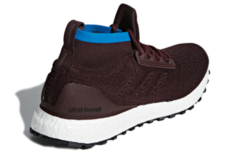 Кроссовки Adidas Ultraboost All Terrain