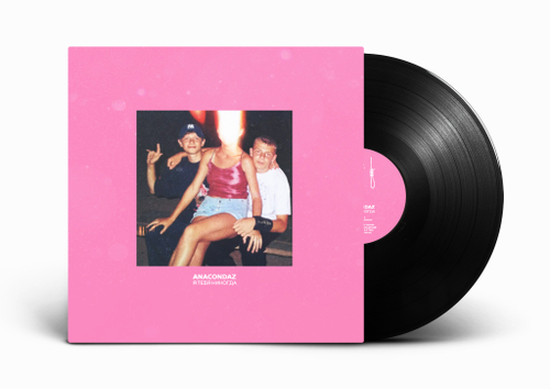 Винил "Я тебя никогда"