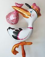 G Аист ходячий выписка девочка (БГ-60)