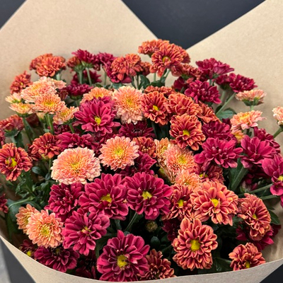 Букет из 15 осенних сантини в крафте