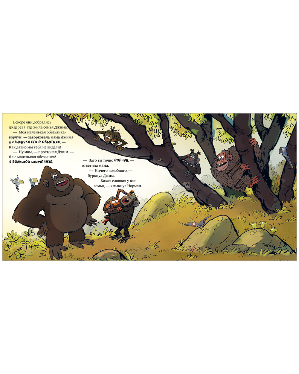Книжки-картинки (мягкая обложка). Обезьянка-ворчун не хочет спать.