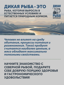 Нельма томлёная в печи ТАЁЖНЫЙ ЦЕХ консервы рыбные, 340 г