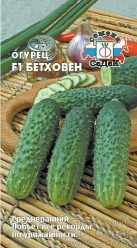 Огурец Бетховен F1 8 шт Седек