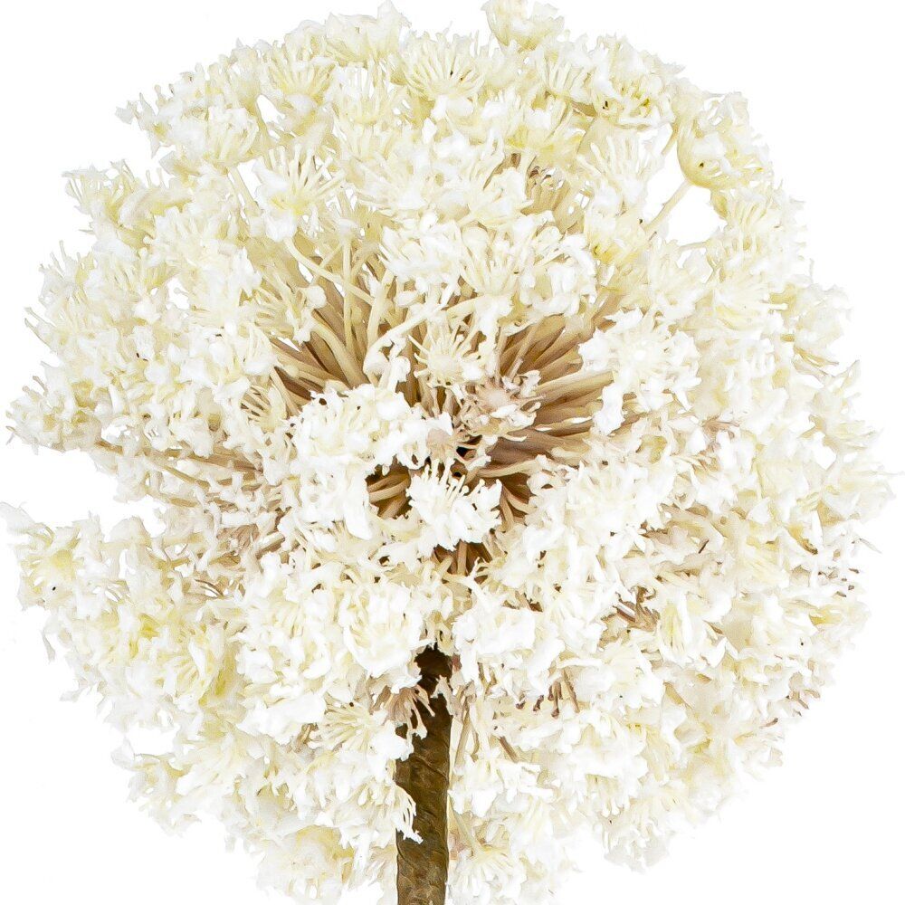 GAEM Цветок искусственный "Лук", L20 W20 H91 см