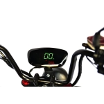 Электроскутер SKYBOARD CITYCOCO FAR EAST 5000