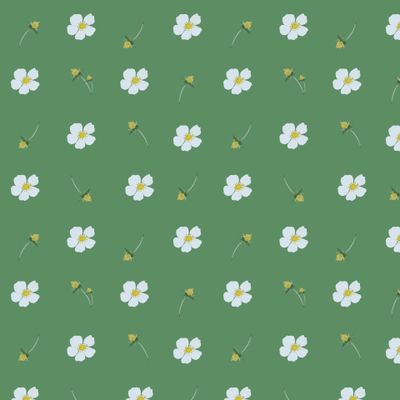 Белые цветы на зеленом фоне