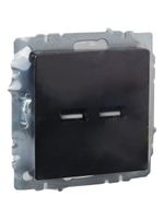 BRITE Розетка USB A+A 5В 3,1А РЮ10-1-БрЧ черный IEK
