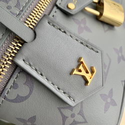 Louis Vuitton Vanity Chain Pouch
