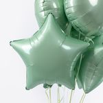 F Шар Звезда 18''/46 см, Мятный Макарунс (БГ-15)