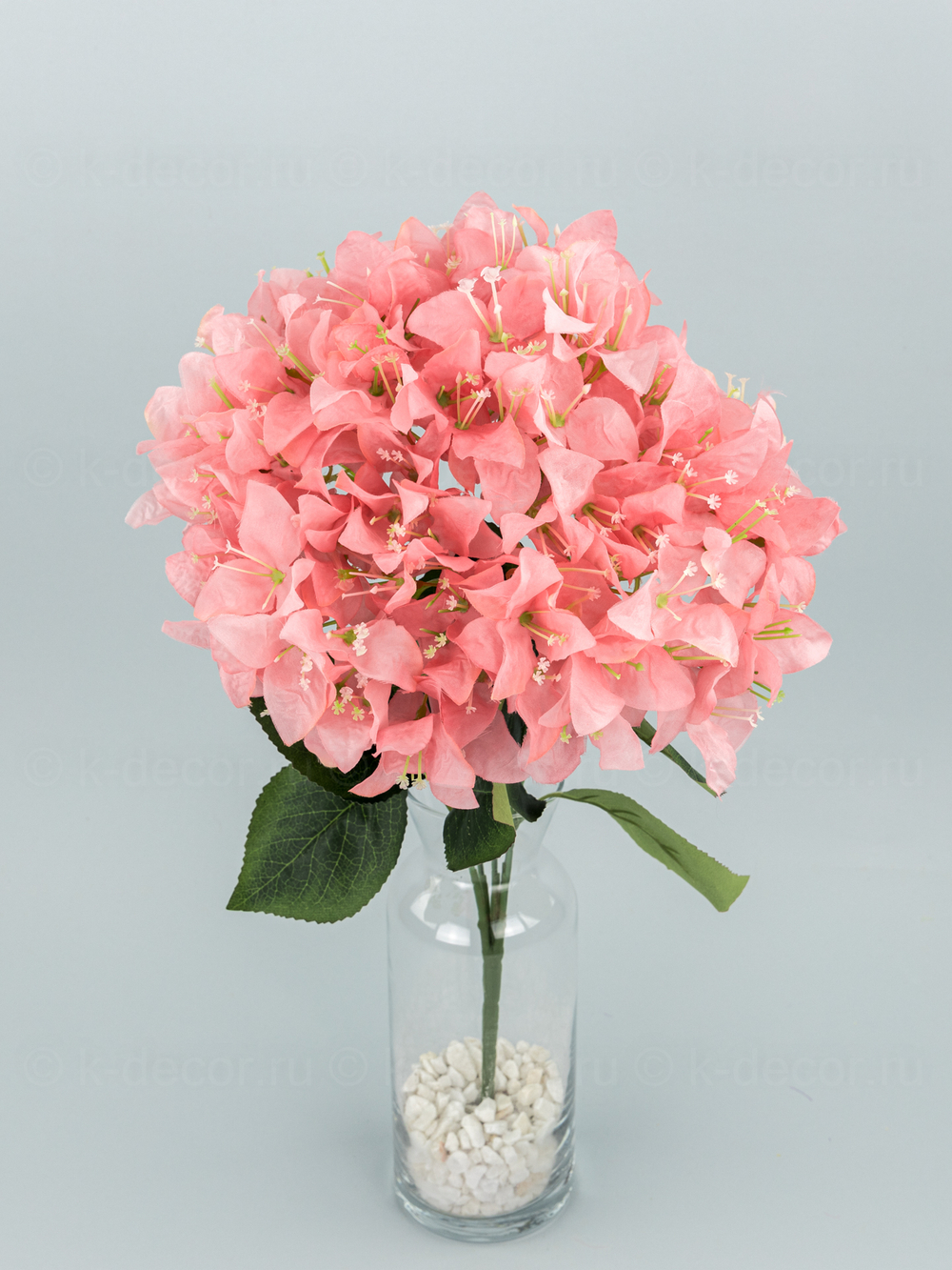 Букет Бугенвиллея