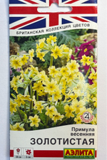 Примула весенняя Золотистая СМЦ-744