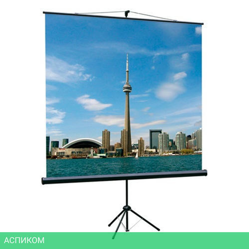 Проекционный экран Lumien Eco View (LEV-100109)