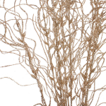 Ветка декоративная «Морозное солнце» 40 см, Шампань