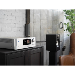Интегральный усилитель Rotel RAS-5000