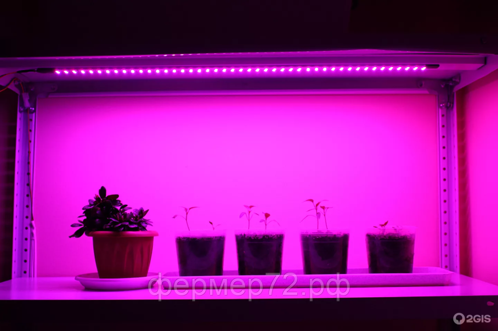 Светильник Navigator NEL-FITO-14Вт-LED 1193мм