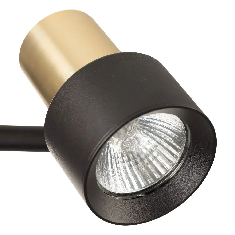 Citilux SAT CL505621 Спот поворотный с выключателем Чёрный+Золото