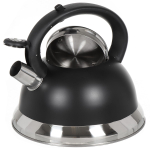 Чайник нерж, 2.5 л, свист, мат, ручк металл, Daniks, чер, GS-04017