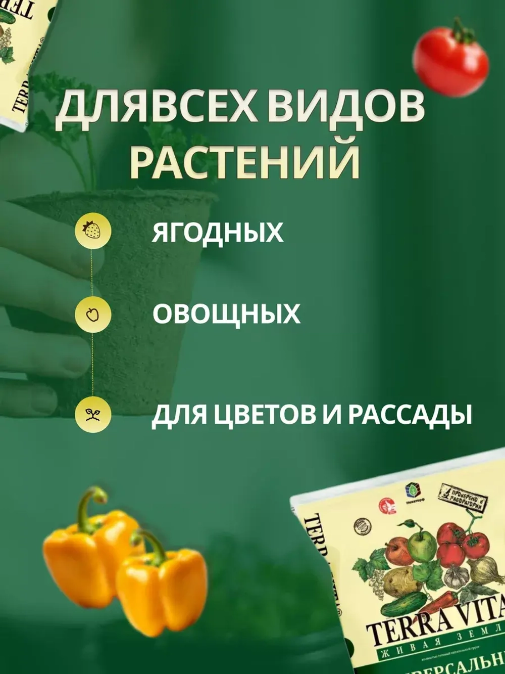 Грунт универсальный Terra Vita 10л