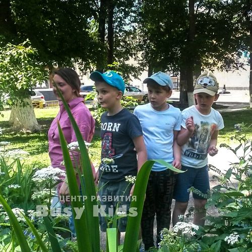 Каникулы в городском клубе Busy Kids