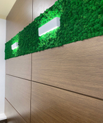 Вертикальное озеленение стабилизированным мхом зала заседания Дома Правительства Республики Адыгея