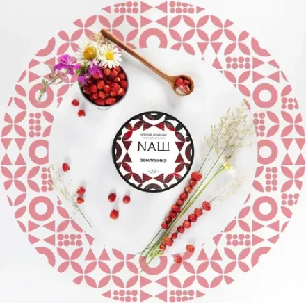 NАШ Земляника 200г