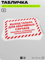Табличка для обеспечения безопасности "Выход только для аварийных случаев", для офиса, по охране труда для предприятия, организаций, 40х30 см, Silver Plane x Айдентика Технолоджи