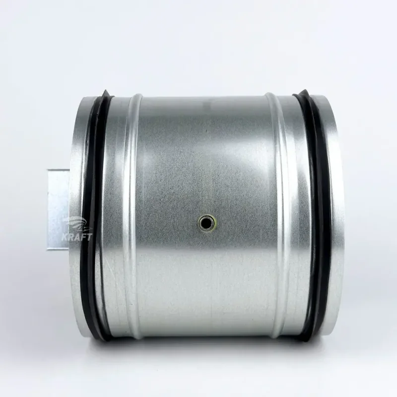 Клапан воздушный с электроприводом GRUNER DCGAr 200+227-230-05