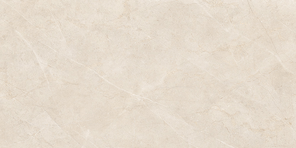 60x120 MoonLight Греж Матовый R10A Ректификат