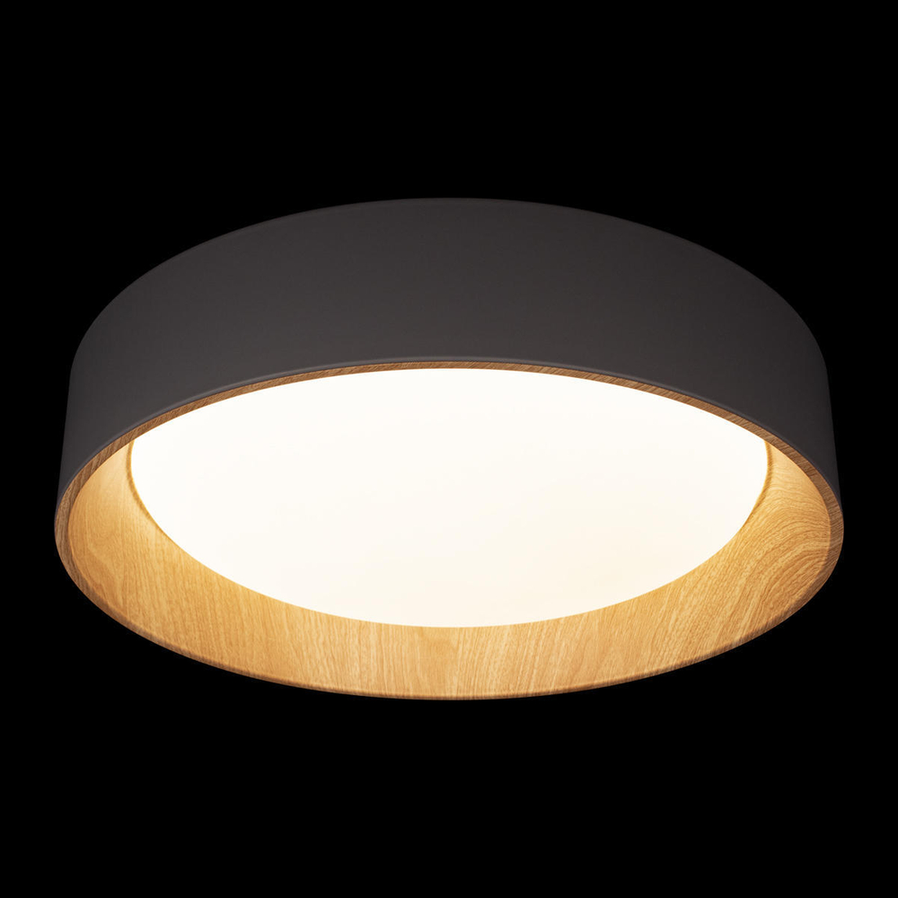 Светильник Потолочный Loft It Grey Coin 10202