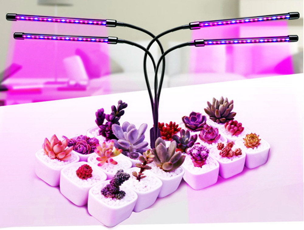 Фито-лампа "Стриж" для выращивания растений (СЕЗОННАЯ СКИДКА)