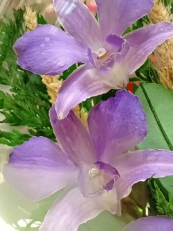 натуральные цветы в стекле, вакуум