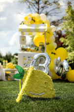 Фотозона "Lemon Party"