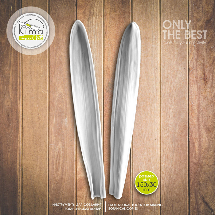 Гиацинт лист большой