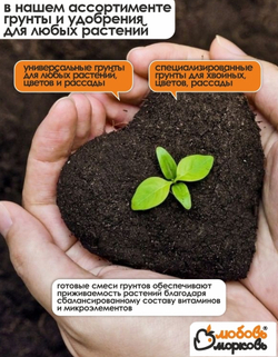 Корзина для луковичных растений, прямоугольная, 3 шт