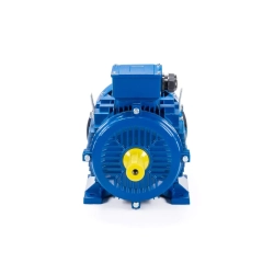 Электродвигатель ESQ 315 LB6-SDN- 132/1000 IMB3