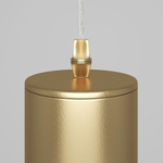 Подвесной светильник Maytoni P075PL-01MG