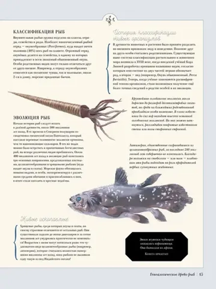 Книга Муми-тролли на рыбалке