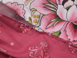 Постельное белье СайлиД B-184 сатин