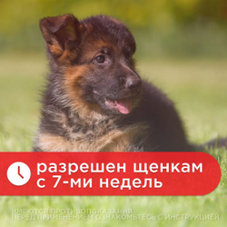 Капли на холку от клещей, блох и гельминтов для собак от 25-40 кг Инсектал комбо С (Neoterica), 1 пипетка Фипронил/Моксидектин
