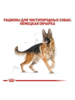 Royal Canin German Shepherd Adult PRO (Роял Канин немецкая овчарка) 16 кг.
