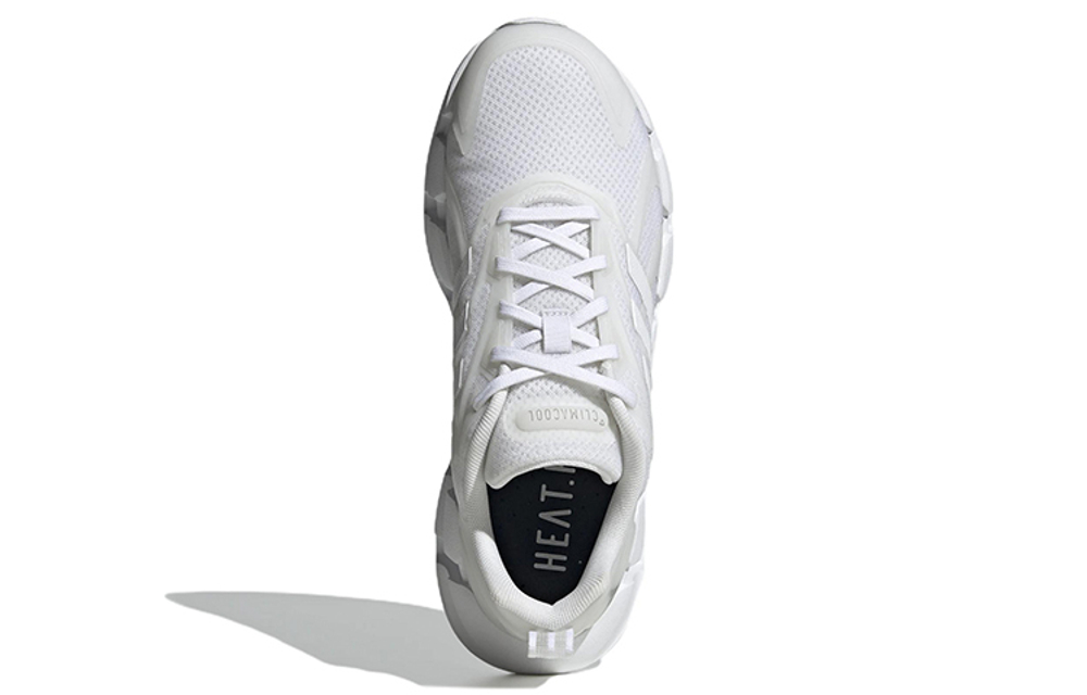 Кроссовки Adidas Ventice Climacool