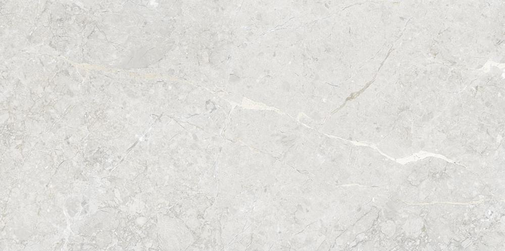 Art&Natura Una Pietra Silver Glossy 60x120