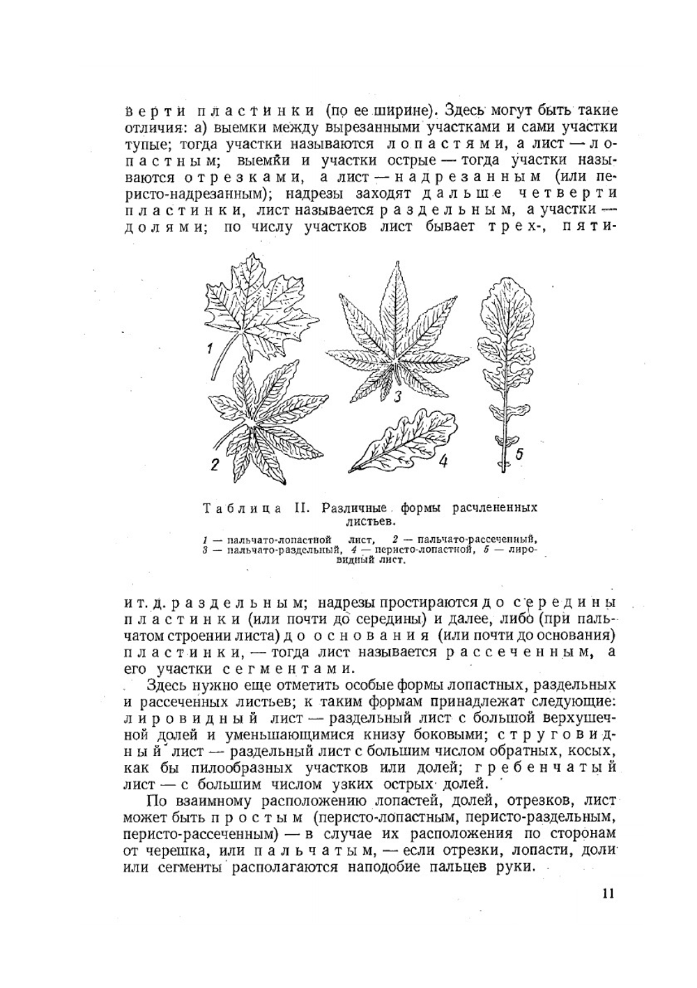 Определитель всходов сорных растений | И.Т. Васильченко