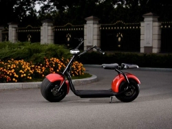 Электросамокат El-sport Citycoco 1500W 60V, 20Ah
