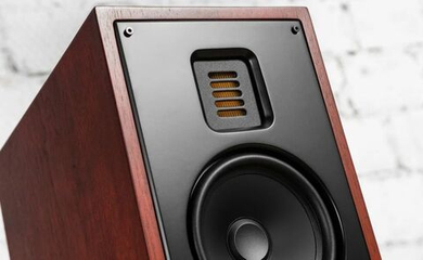 Напольная акустика Martin Logan Motion 40i Red Walnut